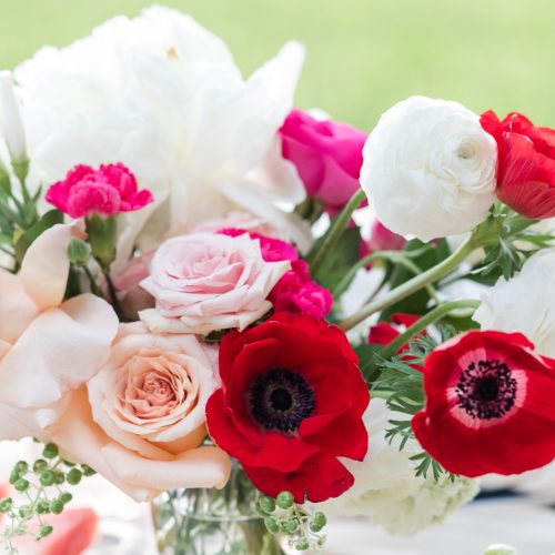 Captured at Woodbine Mansion on 01 Jul, 2019 by Kristen McKelvie Photography